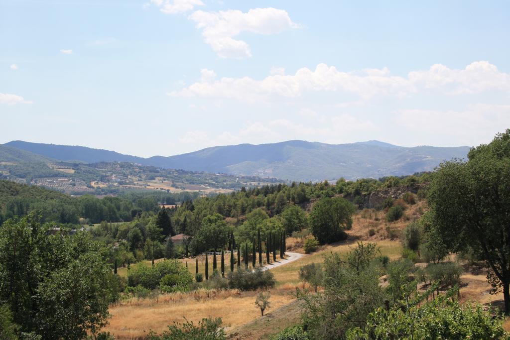 Un Petit Paradis * Castiglione Della Valle